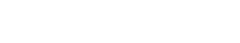 GeoFlow_Logo_White